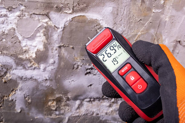 Best Mold Damage Repair  in Englewood, FL